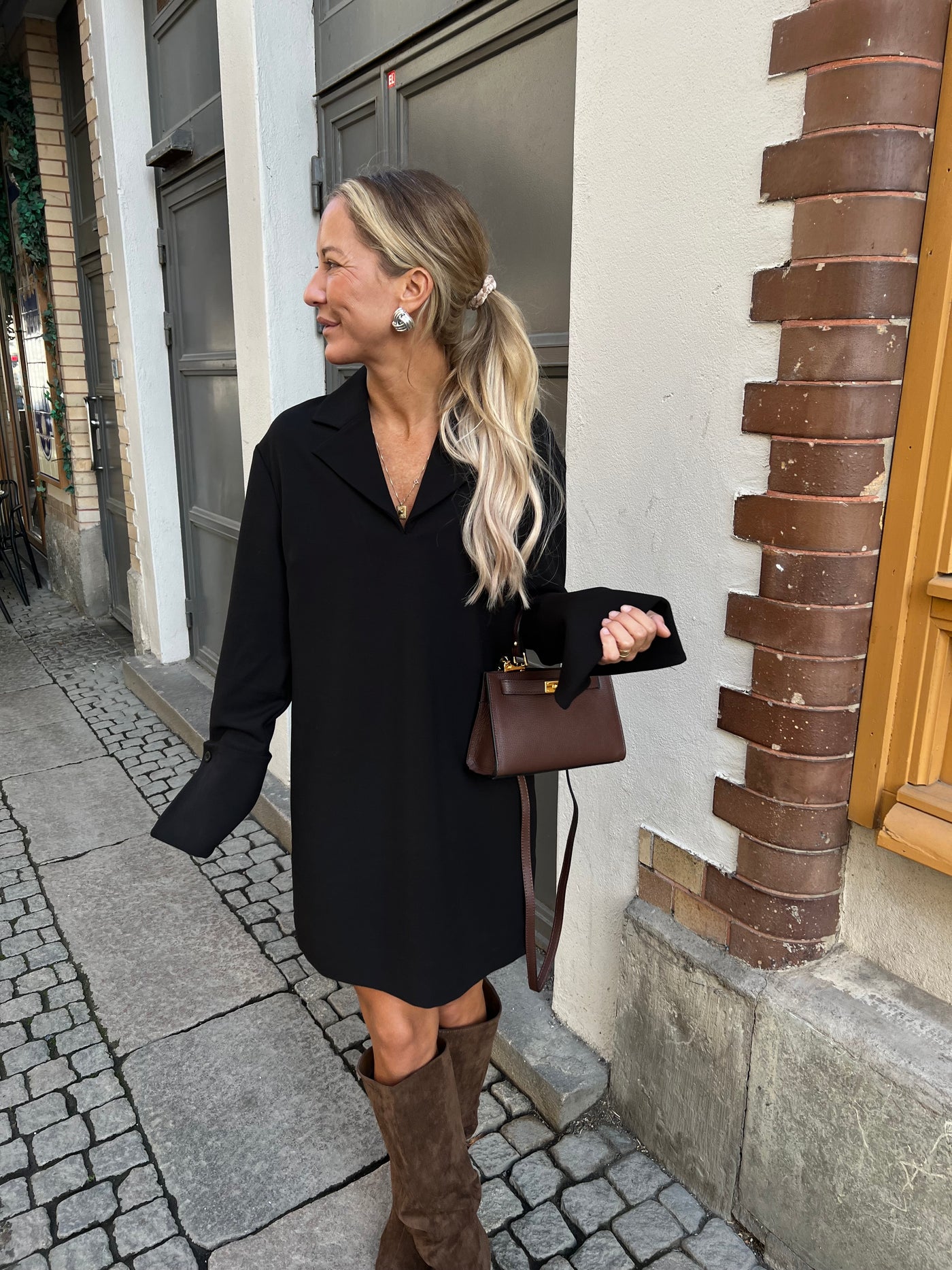 Luisa Collar Dress