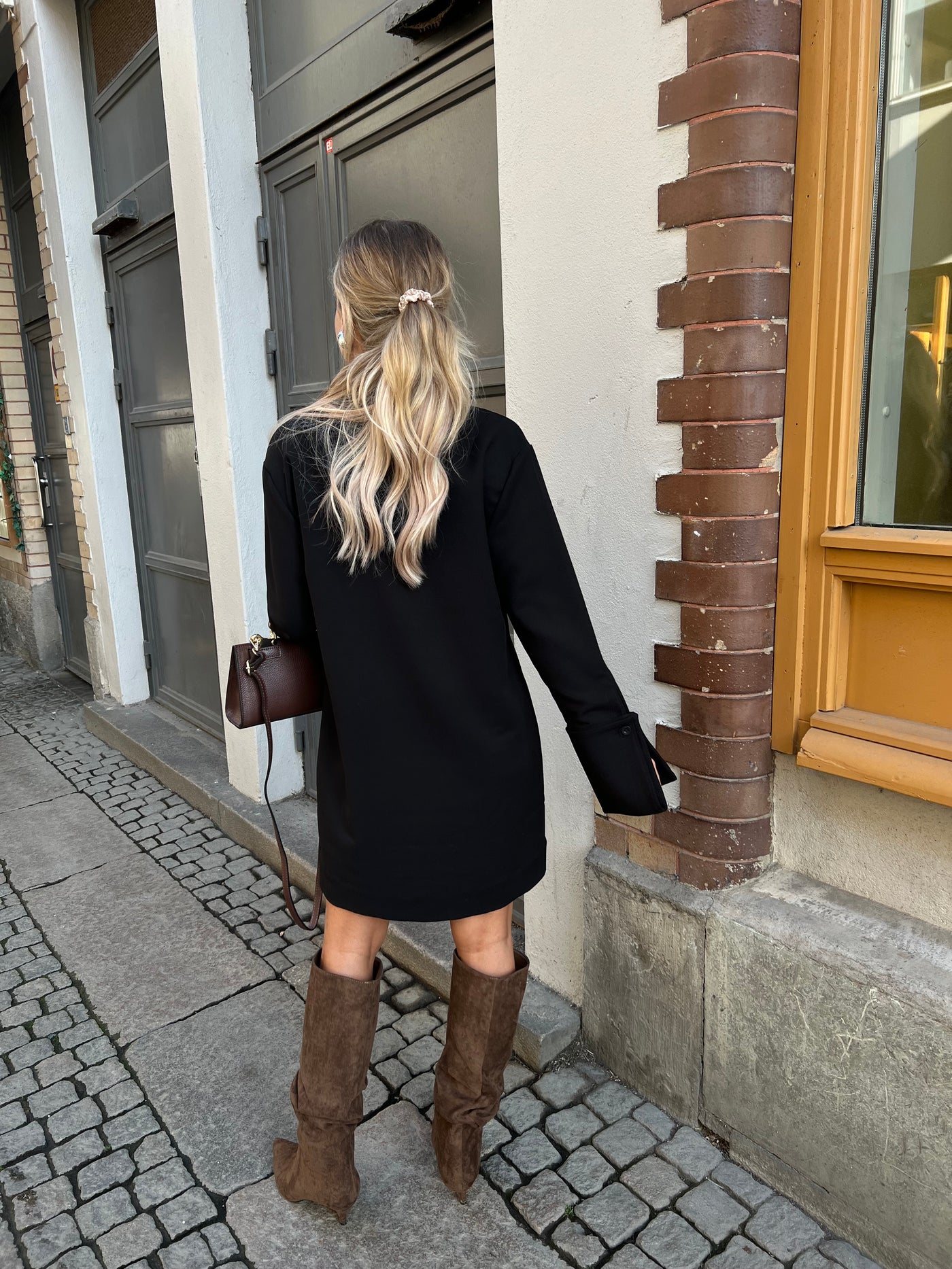 Luisa Collar Dress