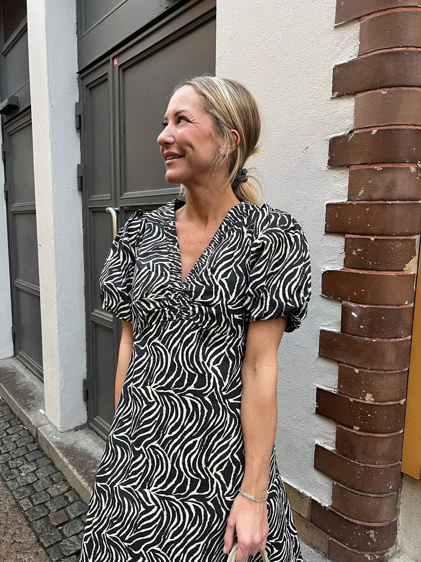 Iliana zebra dress