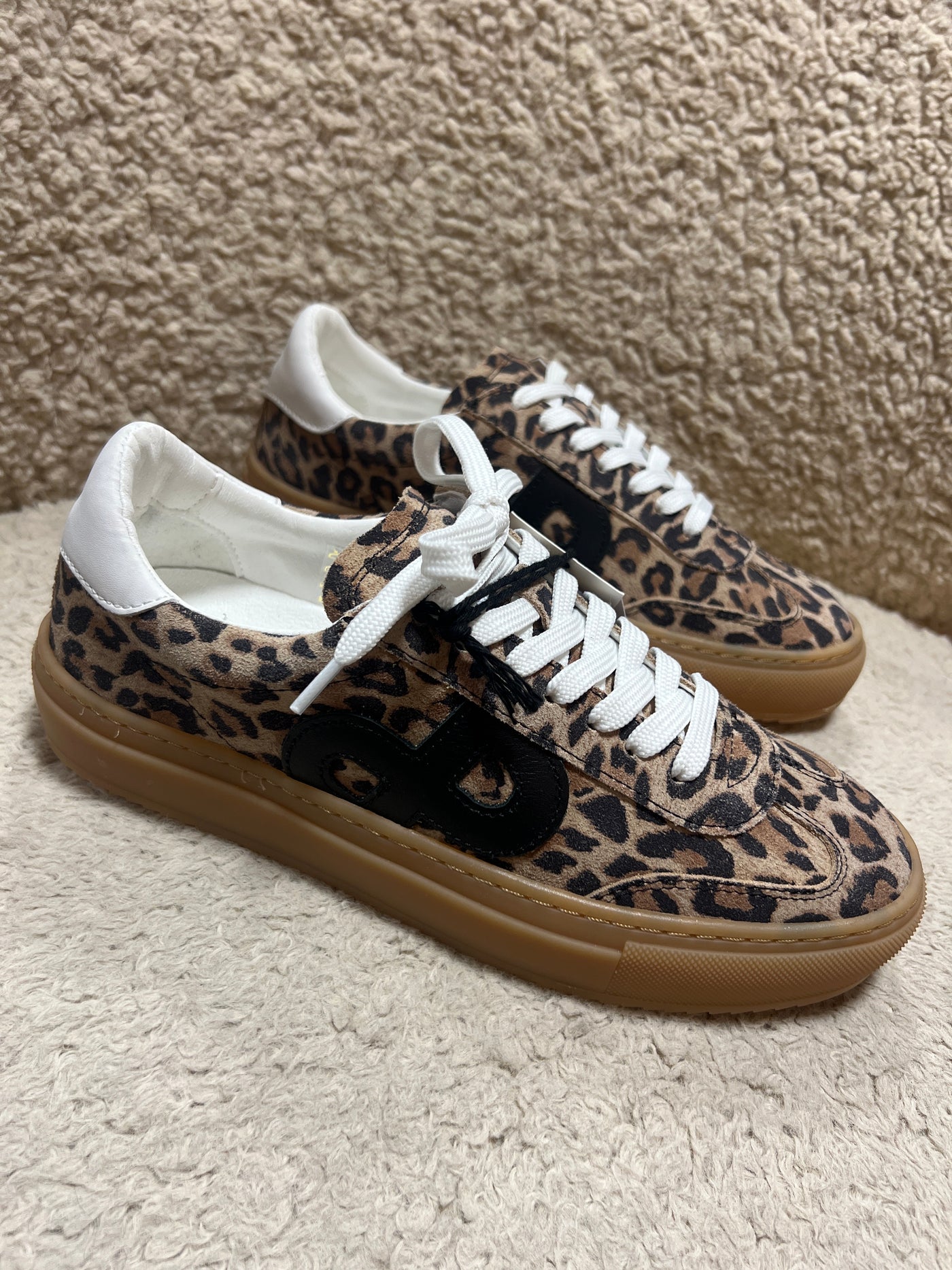 Pavement kohia leopard