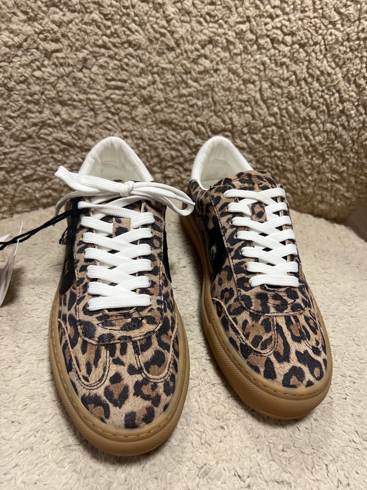 Pavement kohia leopard