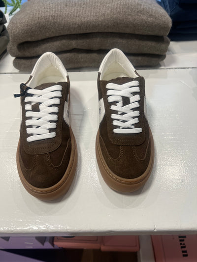 Pavement kohia dark brown