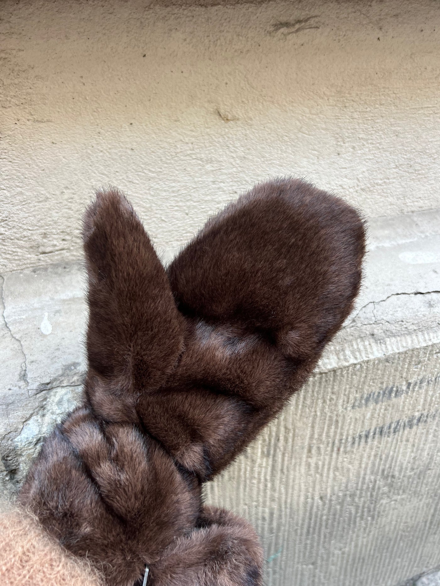 Pälsvante modell brun